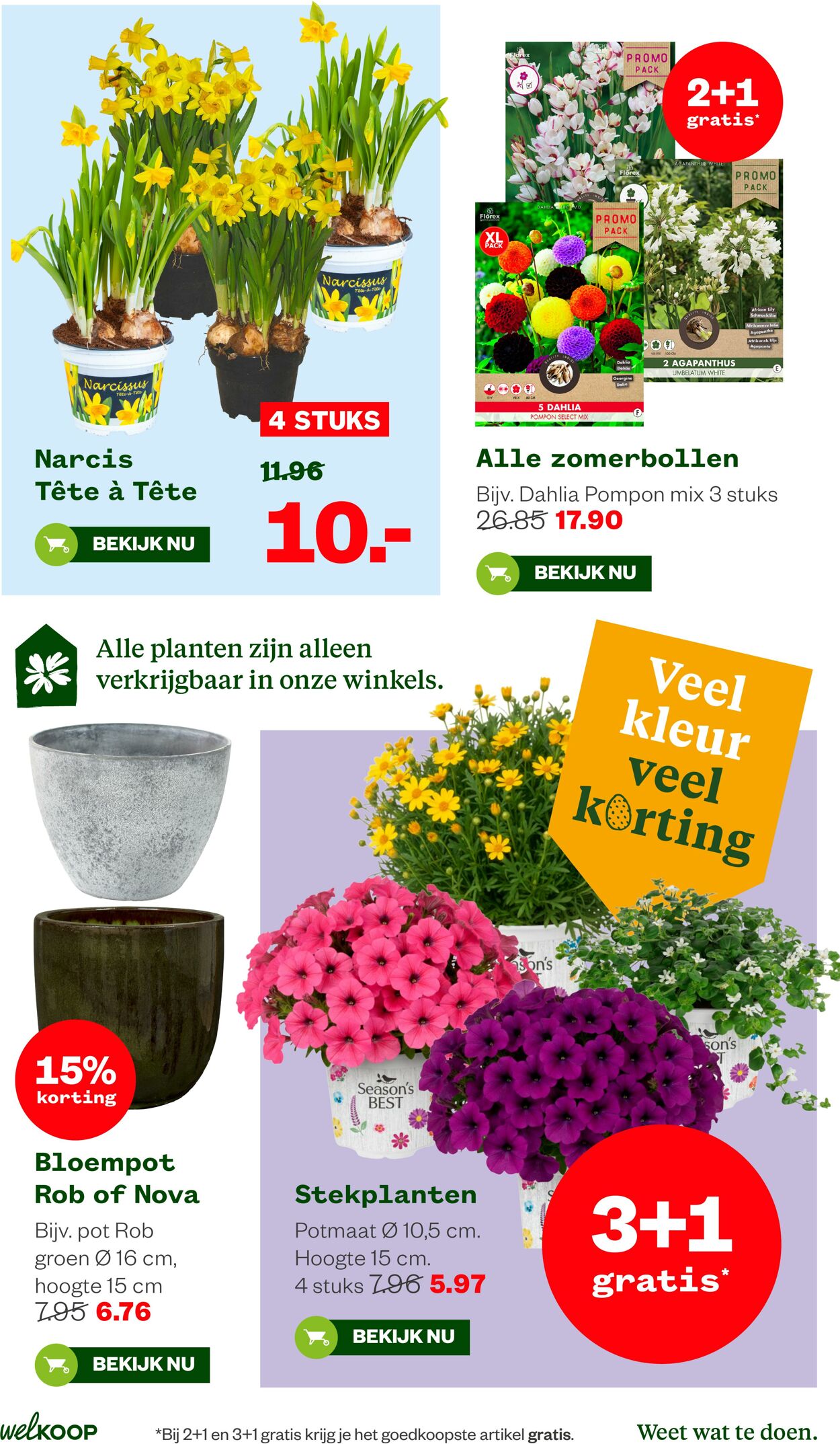 Folder Welkoop 30.03.2026 - 07.04.2026
