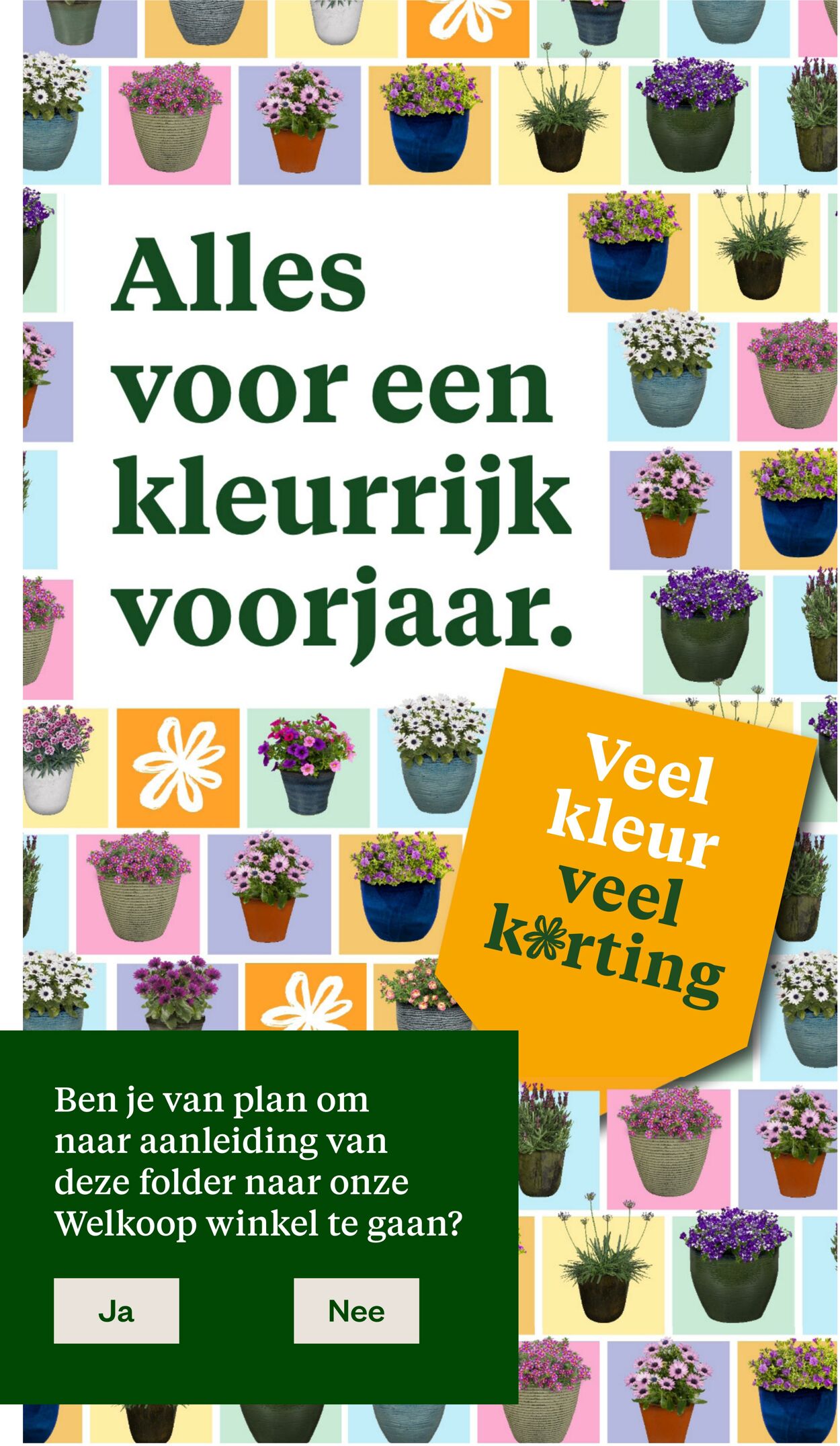 Folder Welkoop 30.03.2026 - 07.04.2026