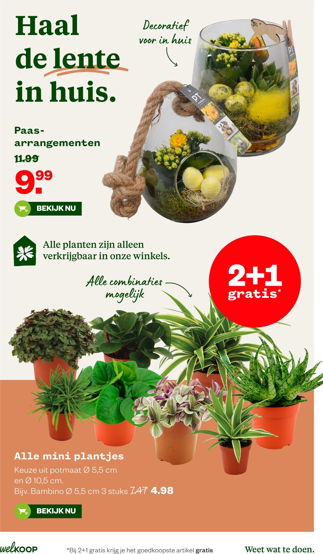 Folder Welkoop 30.03.2026 - 07.04.2026