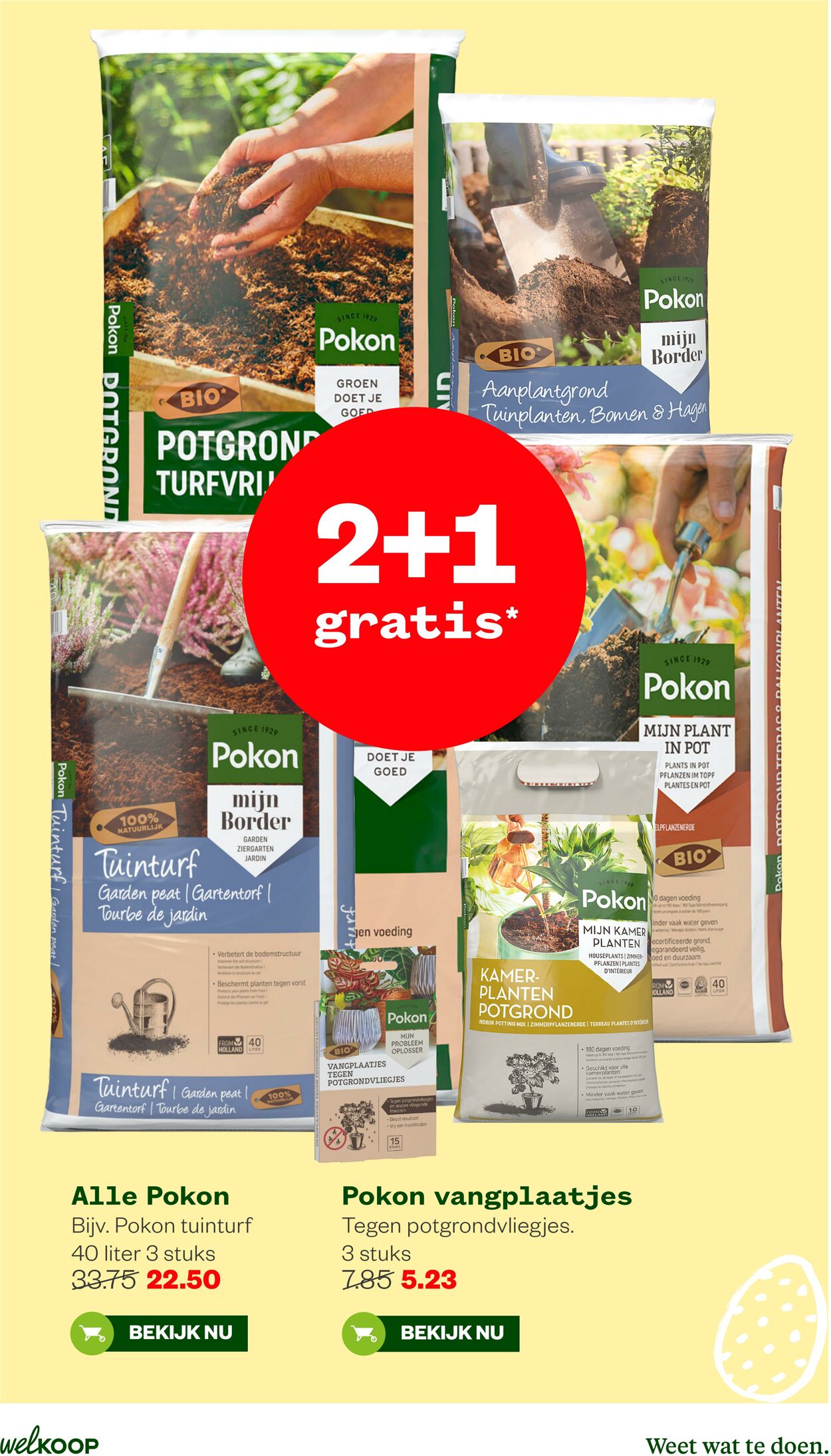 Folder Welkoop 30.03.2026 - 07.04.2026