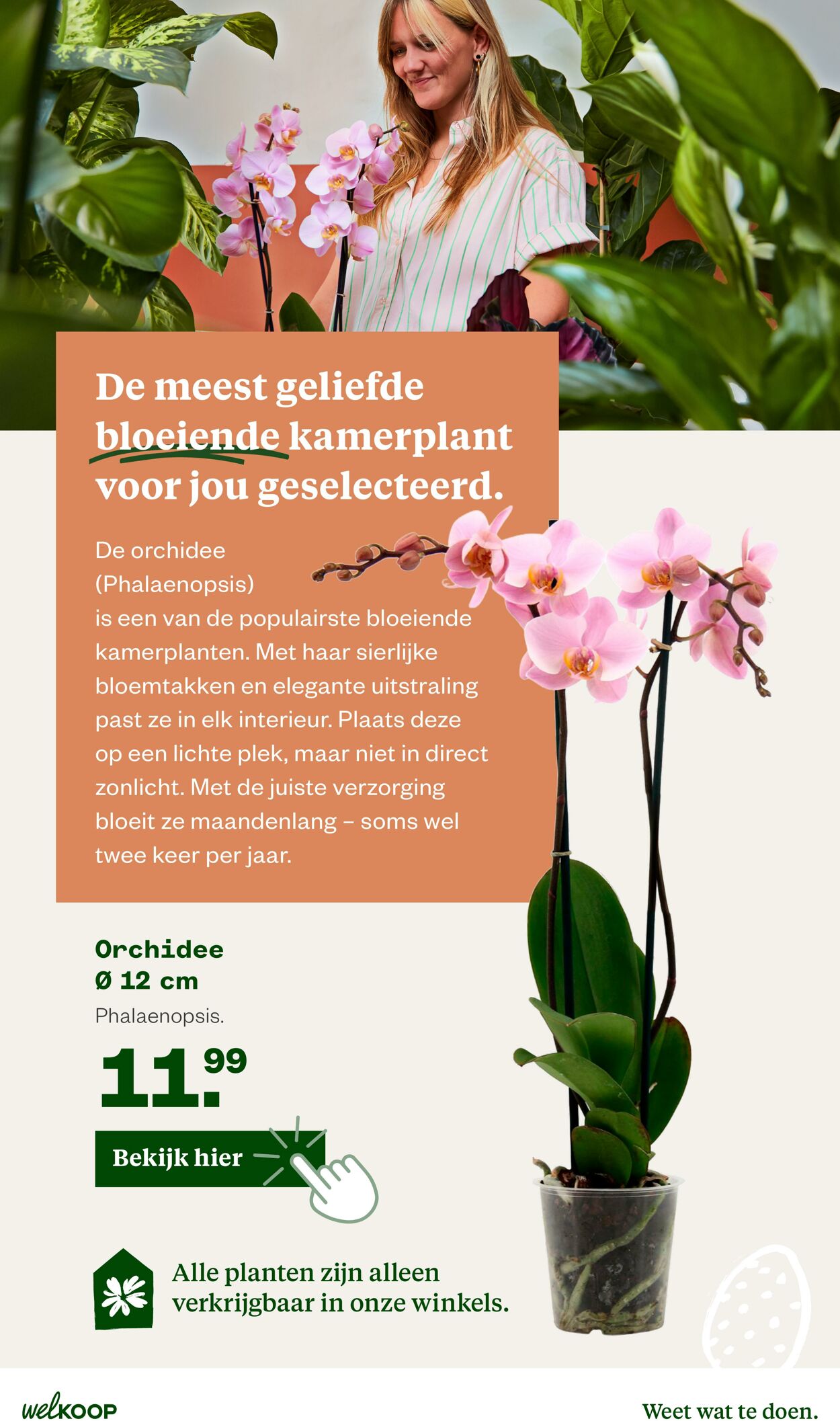 Folder Welkoop 31.03.2026 - 08.04.2026