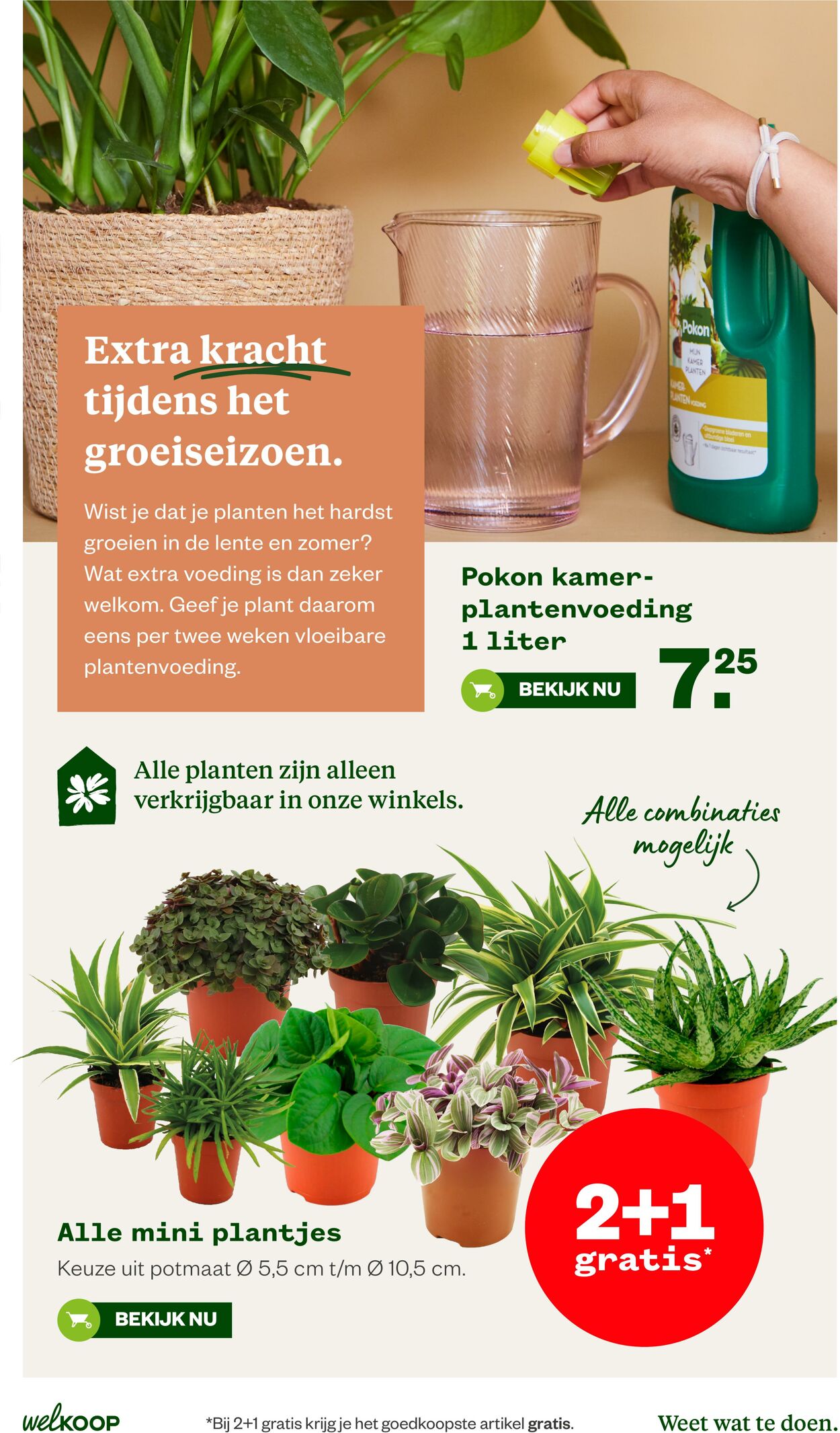 Folder Welkoop 13.04.2026 - 21.04.2026