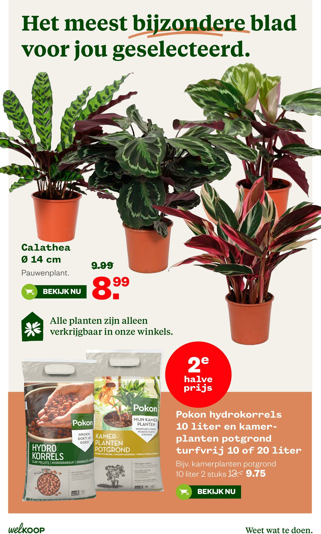 Folder Welkoop 13.04.2026 - 21.04.2026