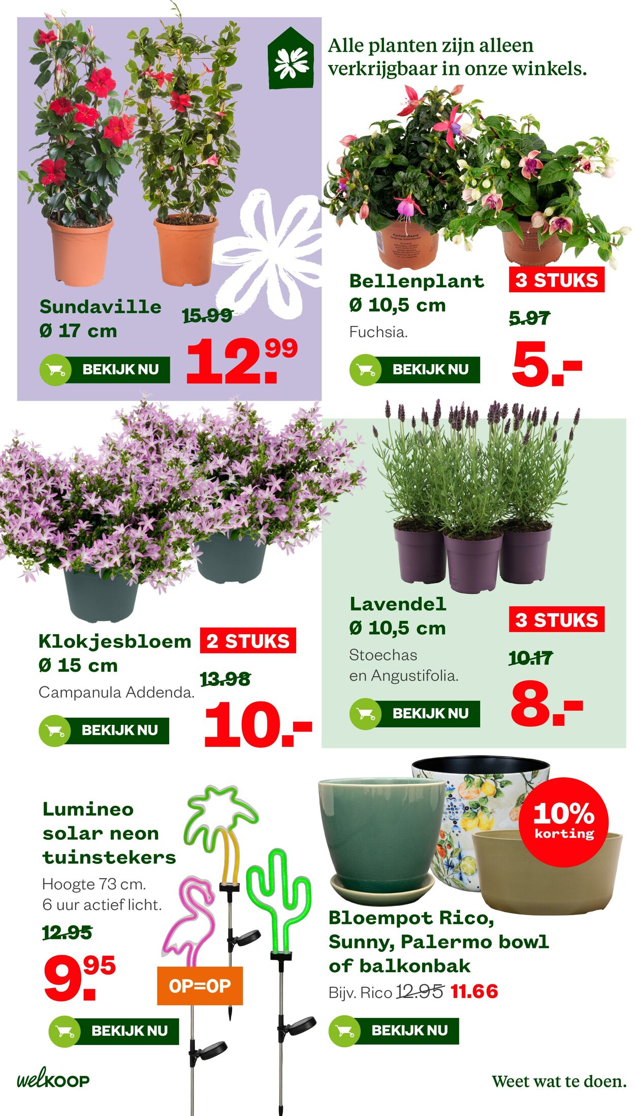Folder Welkoop 13.04.2026 - 21.04.2026