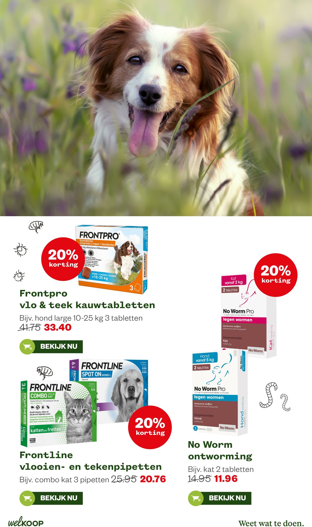 Folder Welkoop 23.02.2026 - 03.03.2026