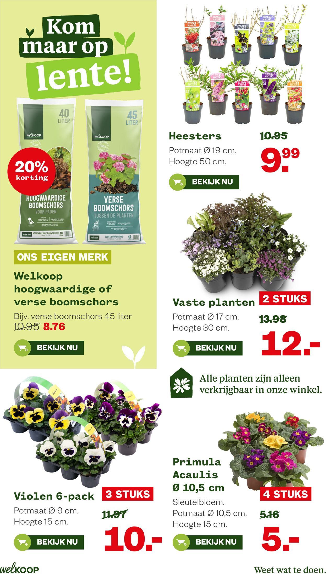 Folder Welkoop 23.02.2026 - 03.03.2026