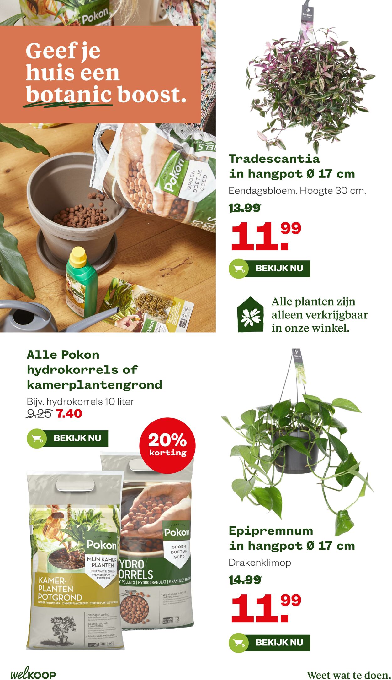 Folder Welkoop 23.02.2026 - 03.03.2026