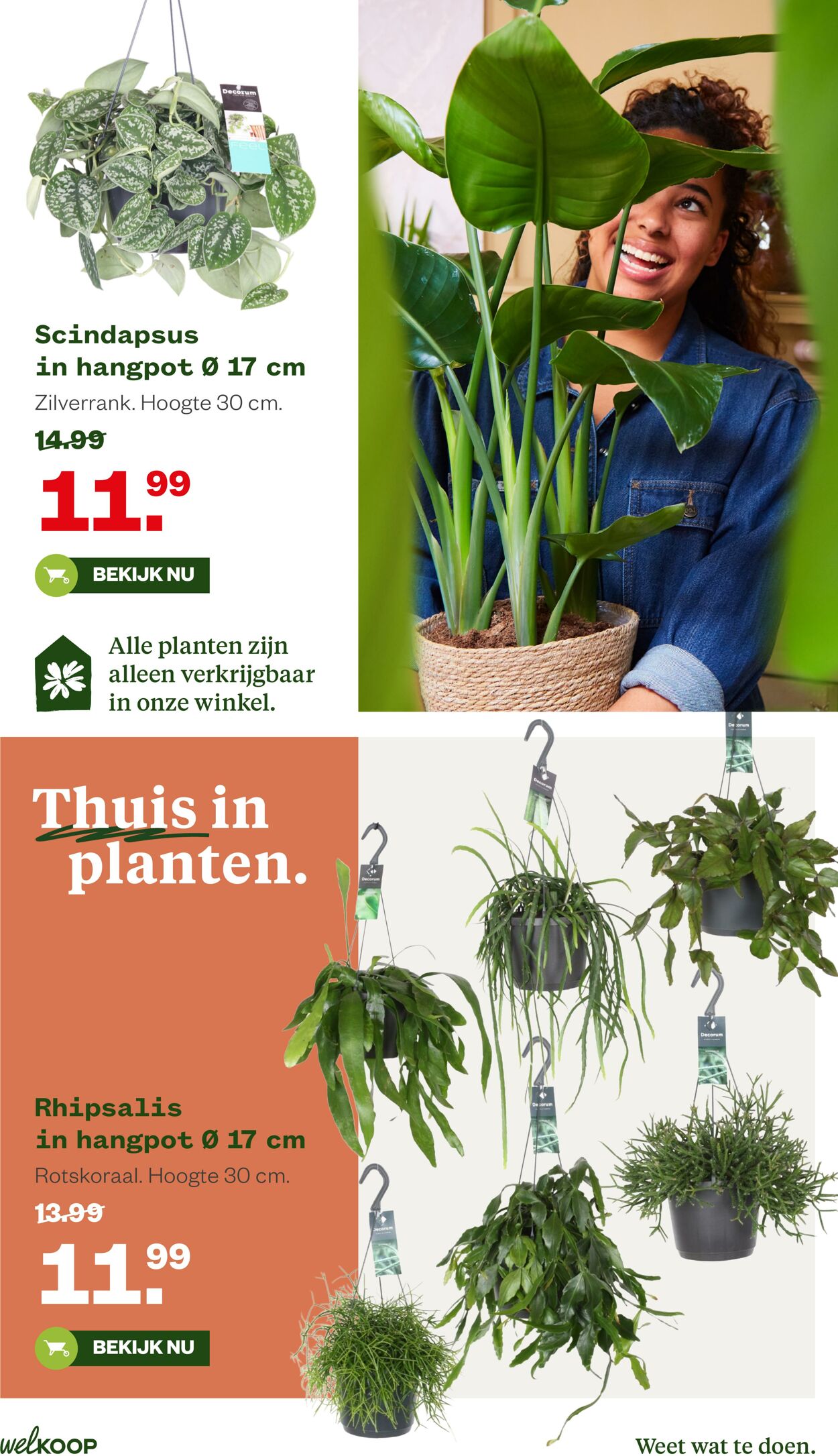 Folder Welkoop 23.02.2026 - 03.03.2026